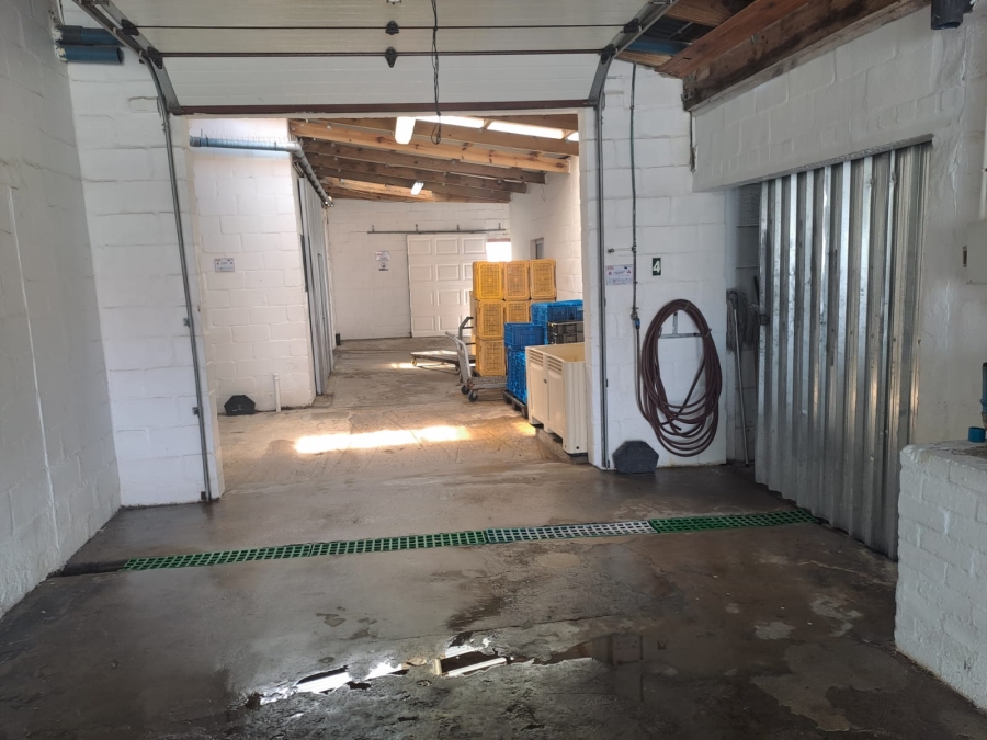 Commercial Property for Sale in Kleinmond Western Cape